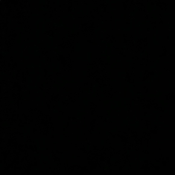 Meet your Posher, Michaela - Picture 1 of 1